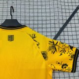 25-26 Dynamo Dresden Special Edition Fans Soccer Jersey