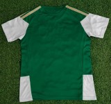 25-26 Italy Green Training shirts