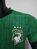 25-26 Cote d'Ivoire Green Special Edition Player Version Soccer Jersey