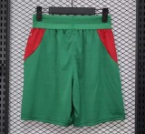 25-26 Senegal Away Player Version Shorts Pants (球员短裤)