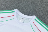 26-27 Algeria High Quality Training Short Suit