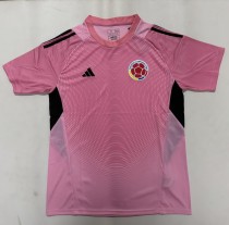 25-26 Colombia Pink GoalKeeper Fans Soccer Jersey