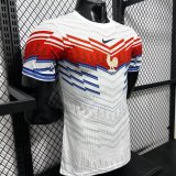 2026 France Special Edition Player Version Soccer Jersey