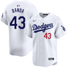 2026 MLB Los Angeles Dodgers New Pattern Jersey