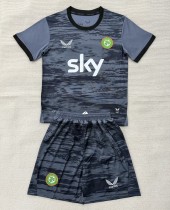 2026 Ireland Grey GoalKeeper Adult Suit