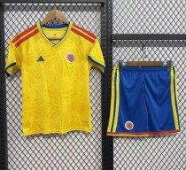 2026 World Cup Colombia Home Kids Soccer Jersey 2026 World Cup Colombia Home Kids Soccer Jersey