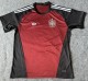 26-27 Spain Red Special Edition Training shirts