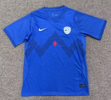2026 Slovenia Home Fans Soccer Jersey