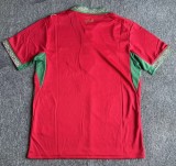 2026 Morocco Home Fans Soccer Jersey*两颗星