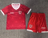 27-28 Wales Home Kids Soccer Jersey