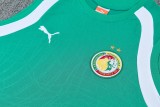 26-27 Senegal High Quality Tank Top And Shorts Suit