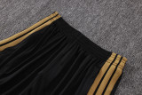 26-27 JUV High Quality Training Short Suit