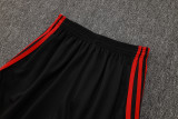 2025/26 Flamengo Black Vest Training Jersey(A Set)