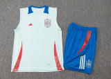 2024/25 Spain Light Blue Vest Training Jersey(A Set)