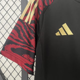 2024/25 Peru Away Fans Soccer Jersey