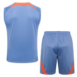 2024/25 In Milan Light Gray Vest Training Jersey(A Set)