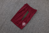 2025/26  Fluminense Red Training Jersey(A Set)