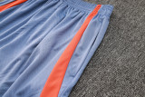 2024/25 In Milan Light Gray Vest Training Jersey(A Set)