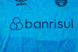 2024/25 Grêmio Blue Vest Training Jersey(A Set)