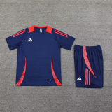 2025 AD~  Sapphire Blue Training Jersey(A Set)
