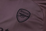 2025/26 ARS Grey Purple Training Jersey(A Set)