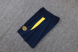 2025/26 Santos Dark Blue Vest Training Jersey(A Set)