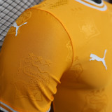 2025 Ivory Coast Special Edition Orange Player Version Jersey