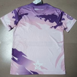 2025/26 Morocco Special Edition Fans Soccer Jersey