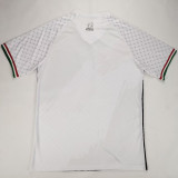 2024/25 Palestine Fans Soccer Jersey