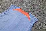 2024/25 In Milan Light Gray Vest Training Jersey(A Set)