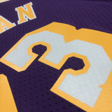 1998/99 Lakers RODMAN #73 Retro Purple NBA Jerseys热压