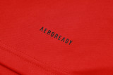 2024/25 Spain Red Vest Training Jersey(A Set)