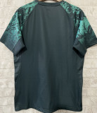 2025 The British & Irish Lions Rugby Shirt 红狮子