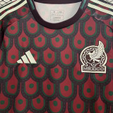 CHICHARITO #14 Mexico Homen Fans Soccer Jersey 2024/25 ★★