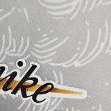 2023 AIK Solna 132th Anniversary Edition Fans Jersey AIK索尔纳