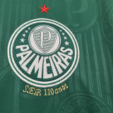 2024/25 Palmeiras 1:1 Quality Home Fans Jersey  (All Sponsor 全广告)