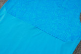 2024/25 Grêmio Blue Vest Training Jersey(A Set)