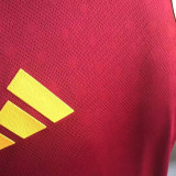 2025/26 Roma Home Red Player Version Soccer Jersey