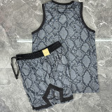 2025/26 Jordan Light Gray Vest Training Jersey(A Set)