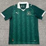 2025/26 Plymouth Argyle Home Green Fans Soccer Jersey