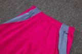 2025/26 Flamengo Rose Red Training Jersey(A Set)