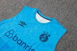 2024/25 Grêmio Blue Vest Training Jersey(A Set)
