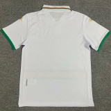 2023/24 Venezia FC Away White Fans Soccer Jersey