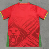 2025/26 Cameroon Away Red Fans Soccer Jersey