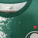 2024/25 Palmeiras Special Edition Green White Fans Soccer Jersey