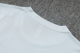 2025 Sao Paulo Grey Training Jersey(A Set)