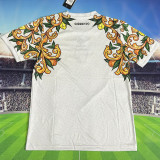 2025/26 Sorrento FC Away Fans Soccer Jersey   索伦托