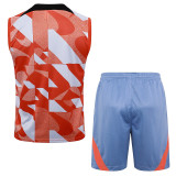 2025 In Milan  Vest Training Jersey(A Set)