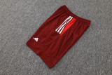 2024/25 Internacional Red Vest Training Jersey(A Set)
