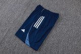 2025/26 Al Nassr Baby Blue Training Jersey(A Set)